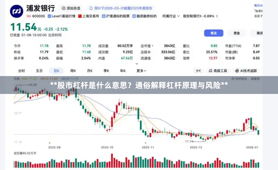 **股市杠杆是什么意思？通俗解释杠杆原理与风险**