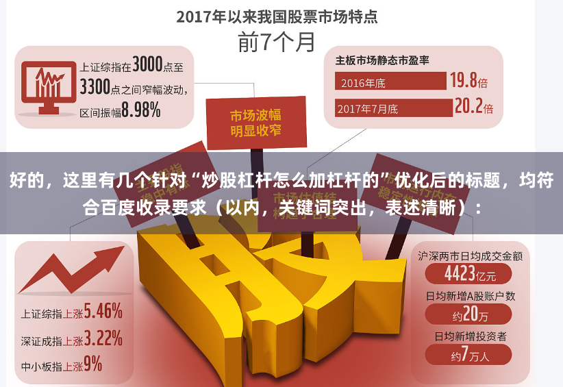 好的，这里有几个针对“炒股杠杆怎么加杠杆的”优化后的标题，均符合百度收录要求（以内，关键词突出，表述清晰）：